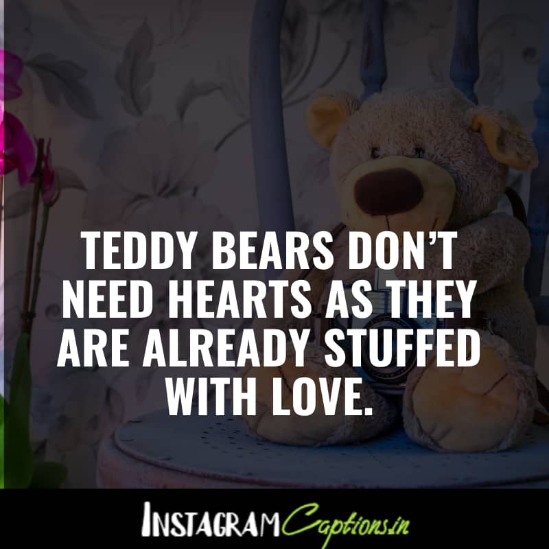 Teddy Bear Captions