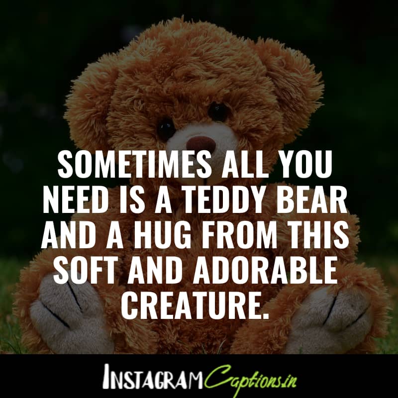 Teddy Day Captions for Instagram